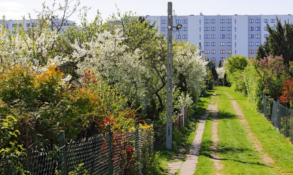 To na rynku wtórnym kupiono najwięcej mieszkań za „Bezpieczny kredyt 2%”