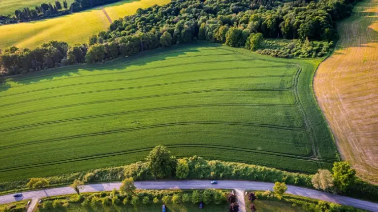 Agroklimatolog: w przyszłości żniwa będą się zaczynały na początku lipca - INFBusiness