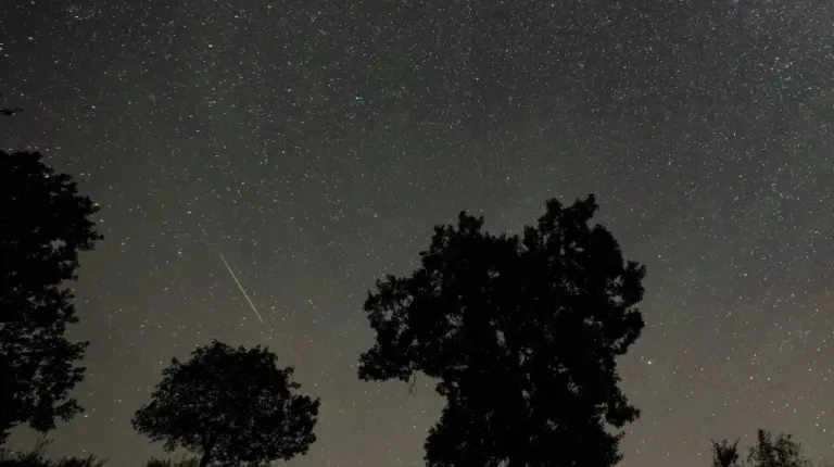 Śląskie/ Noce Perseidów przed Planetarium Śląskim i pod Kopcem Wyzwolenia - INFBusiness