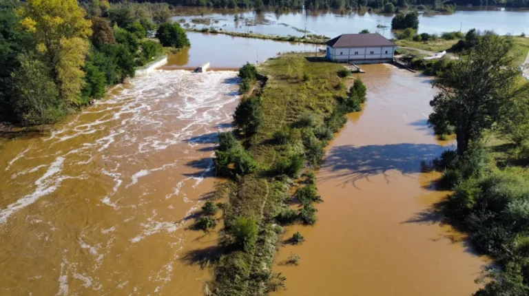 Hydrolog: środowisko to nie ozdobnik, ale błękitno-zielona infrastruktura, która może chronić przed powodzią i suszą - INFBusiness