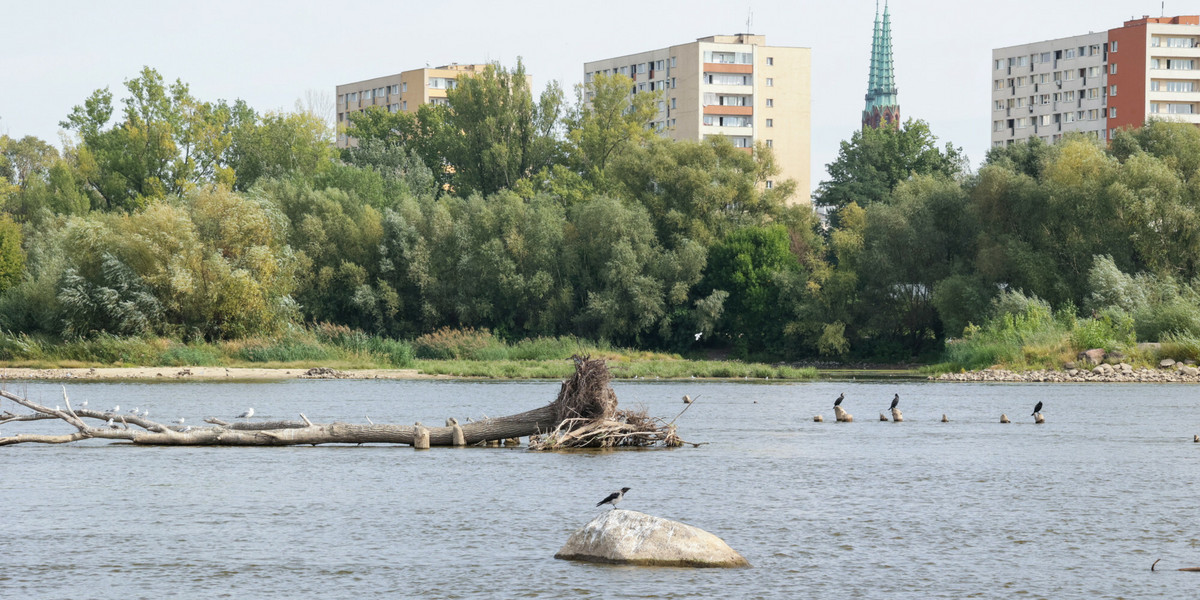 Stan wody w Wiśle jest dramatycznie niski. Warszawa, 9 września 2024 r.