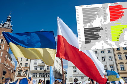 Imigrantów sprowadzamy najwięcej w Unii. Zaskakujące dane Eurostatu