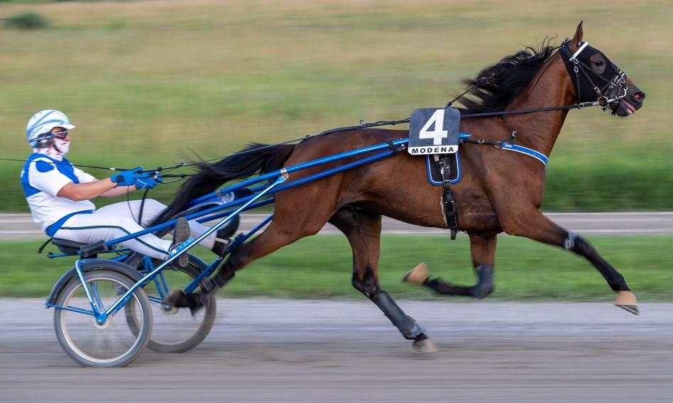 Ceny działek budowlanych – końca podwyżek nie widać, ale galop przeszedł w kłus