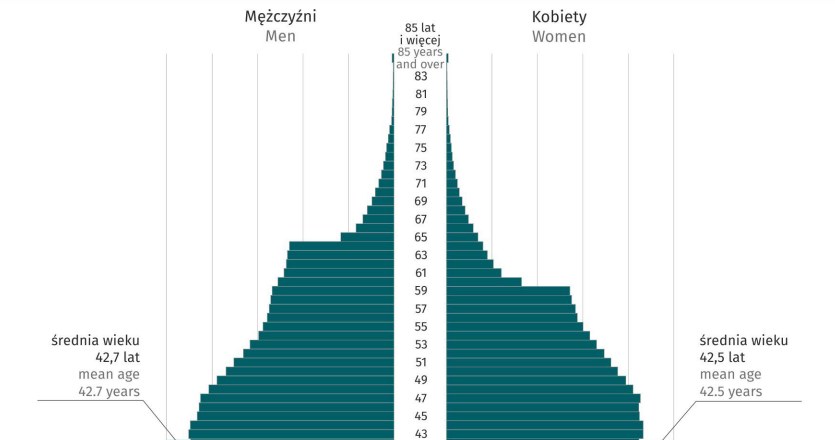 Pracujący w gospodarce narodowej według płci i wieku w 2023 r. Stan na 31 grudnia /GUS /INTERIA.PL