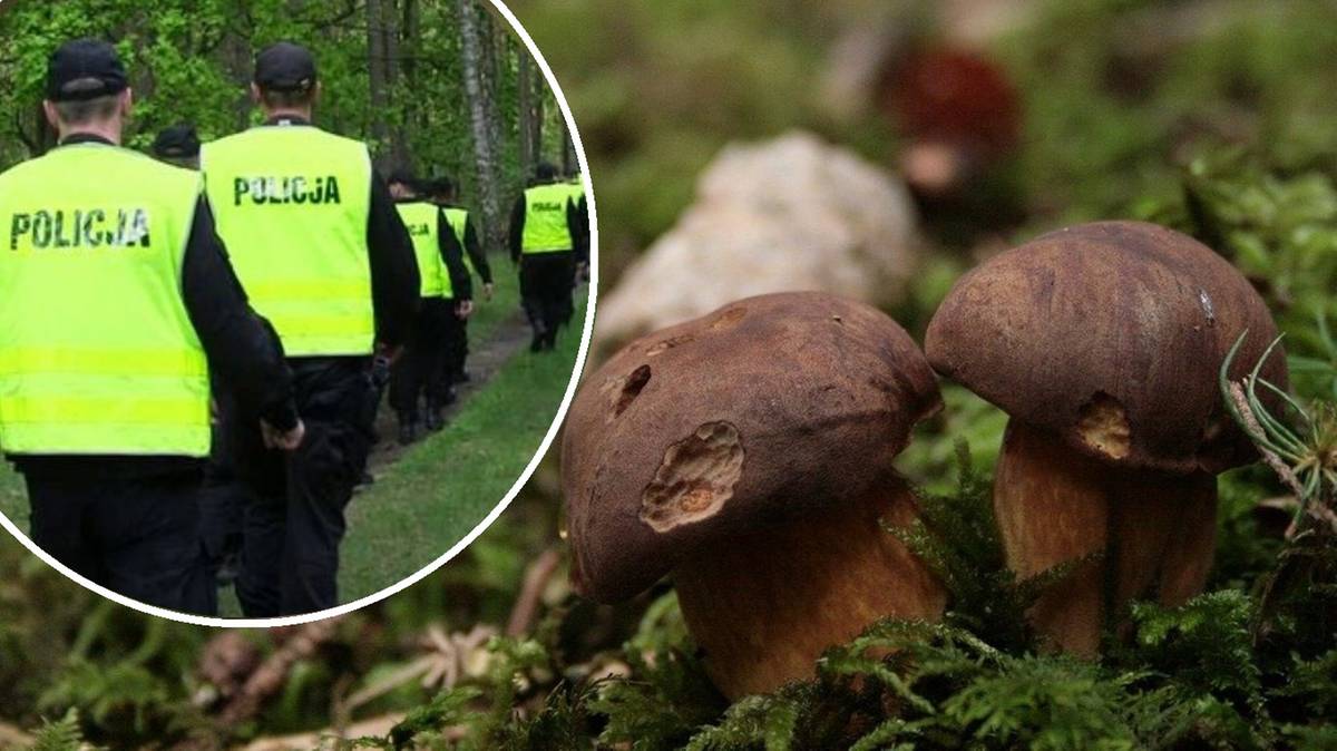 Zaginął w trakcie grzybobrania. W lesie spędził całą noc