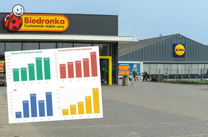 Wielkie przegrupowanie w handlu. Lidl wygrał wojnę na reklamy, Leroy Merlin ucierpiał na Rosji