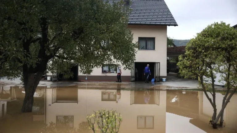 Chorwacja/ Ekspert: za skalę ostatnich powodzi odpowiadają wycinki lasów i betonizacja przestrzeni - INFBusiness