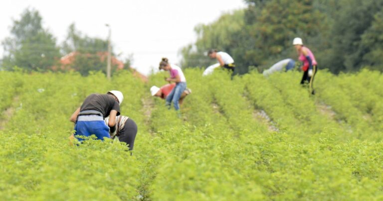 Staż pracy może zwiększyć urlop. Nawet o 16 dni - INFBusiness