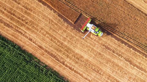 Pomoc dla rolników, którzy ponieśli straty. 15 listopada ostatnim dniem na złożenie wniosku - INFBusiness