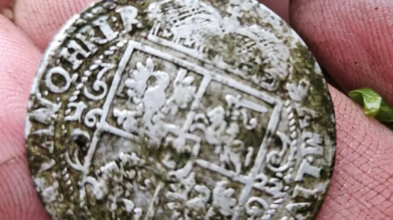 Neolityczną ceramikę i kolekcję europejskich monet odkryto we Wdeckim Parku Krajobrazowym - INFBusiness
