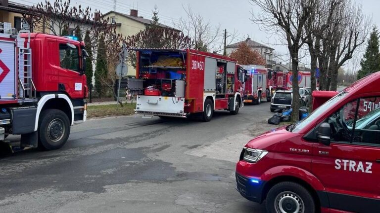 Rodzinna tragedia w Tomaszowie Lubelskim. Nie żyje dwulatek, w piwnicy znaleziono środek na owady - INFBusiness