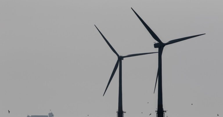 W Szczecinie powstanie duża fabryka. To inwestycja za 70 mln euro - INFBusiness