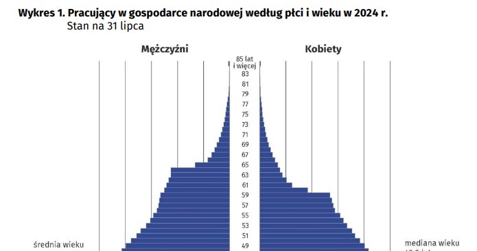 Pracujący w gospodarce narodowej według płci i wieku w 2024 r. Stan na 31 lipca. Źródło: GUS /