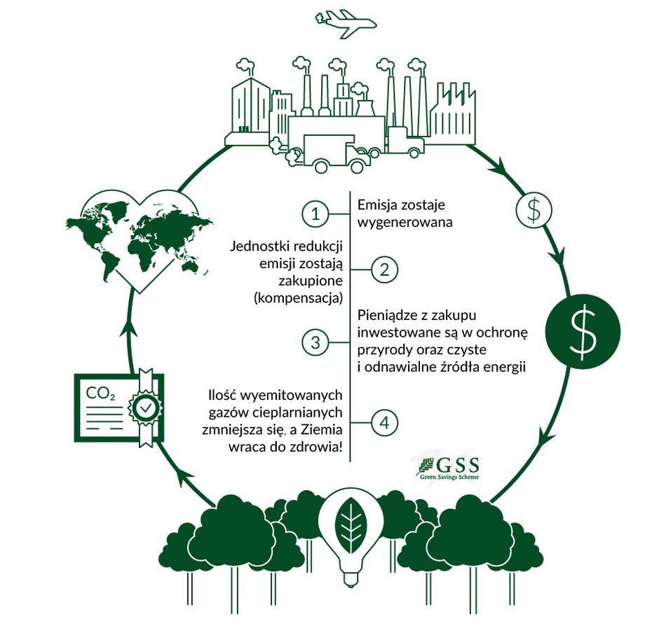 Wykorzystanie offsetów naturalnych w strategiach dekarbonizacji przedsiębiorstw - INFBusiness