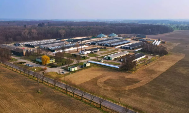 Koniec dzierżawy państwowych gruntów rolnych może oznaczać likwidację gospodarstw. Zagrożone są miejsca pracy - INFBusiness