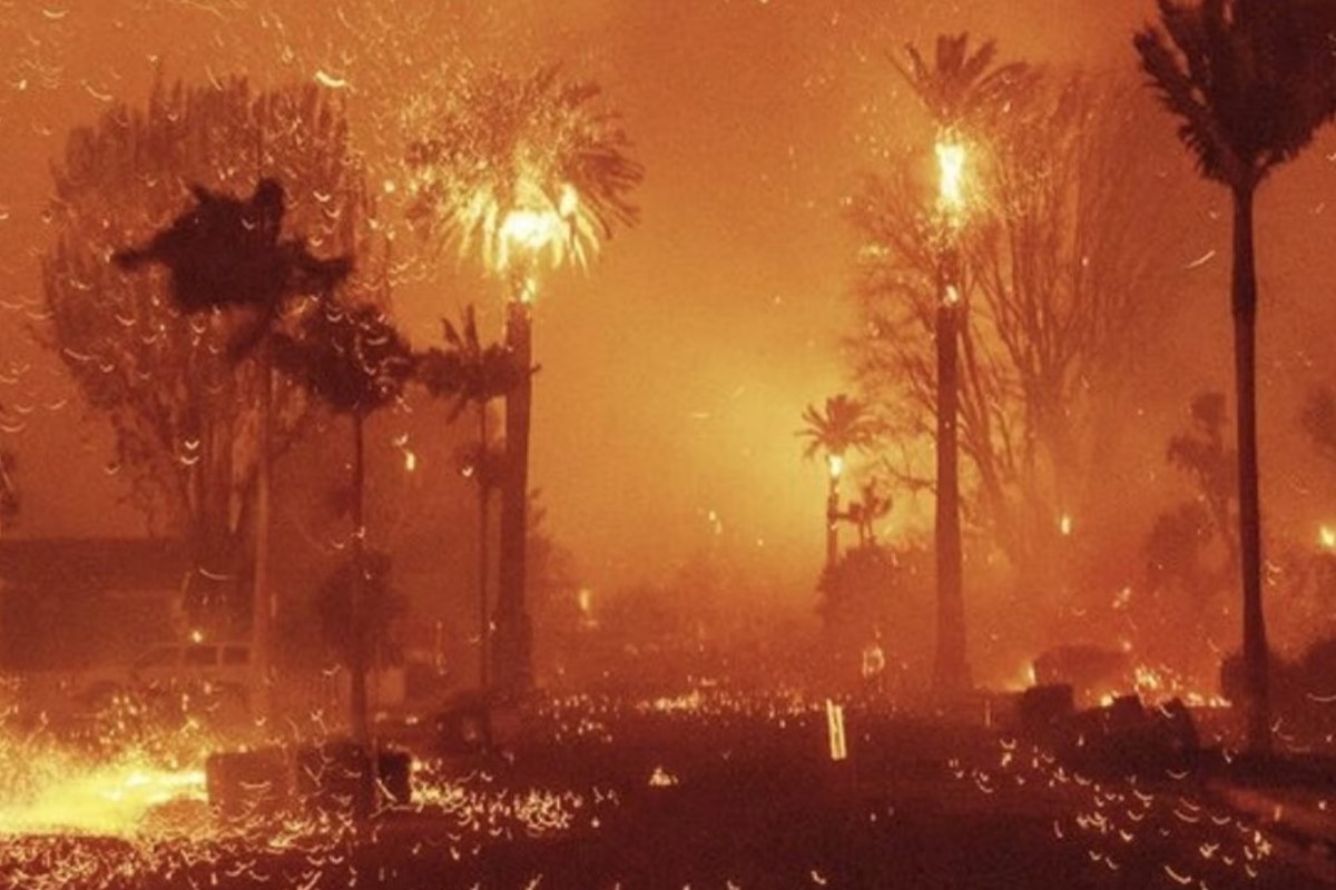 Zdjęcie przedstawia intensywne płomienie trawiące palmy i otaczającą roślinność w Los Angeles. Wybuch pożaru, który pustoszy dzielnice miasta, symbolizuje ogromne zniszczenia, jakie dotknęły także branżę mody, znaną z obecności butików i atelier w zagrożonych obszarach. Ogień i unoszące się iskry tworzą dramatyczną scenerię odzwierciedlającą skalę katastrofy.