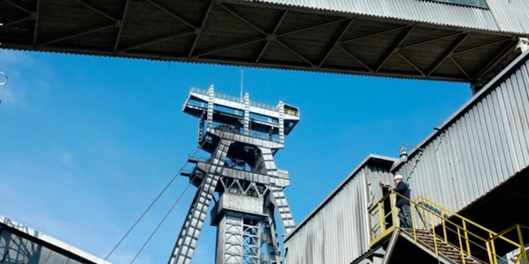 Dalsze odpisy w Bogdance. Spółka dostosowuje się do nowych realiów - INFBusiness