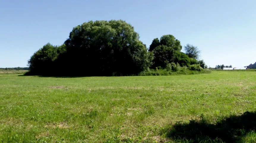 Stary cmentarz w krajobrazie pól mazowieckich i widoczne do dziś fragmenty monumentalnego grobowca (Pokrzywnica Wielka) fot. A. Buko