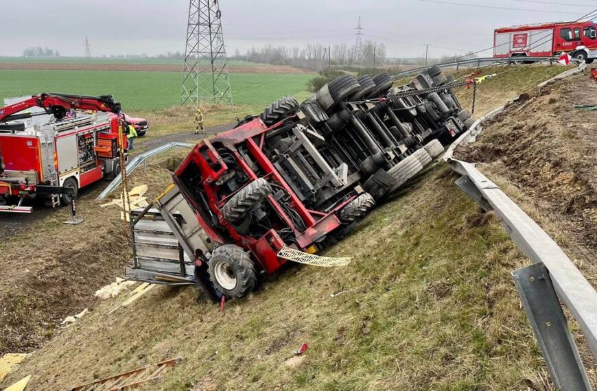 Ciężarówka zjechała z drogi, pozostawiając na poboczu dziesiątki kurczaków