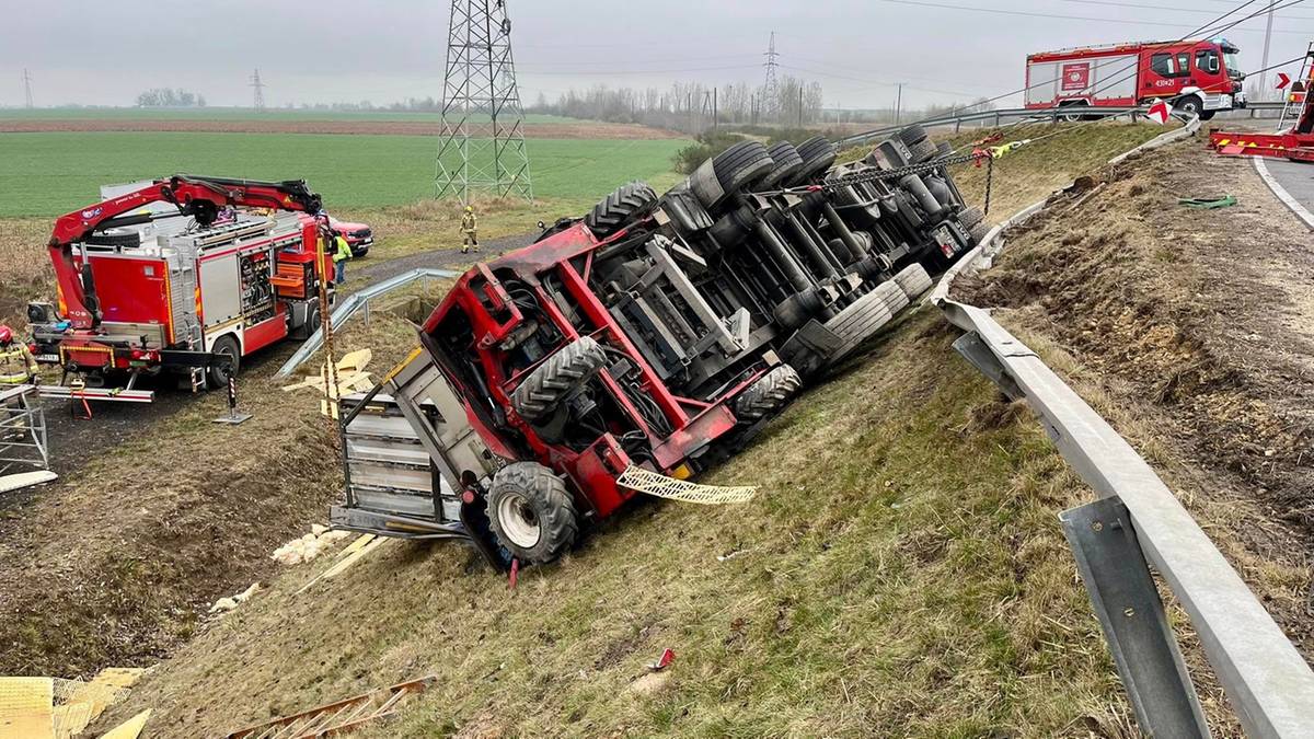 Ciężarówka zjechała z drogi, pozostawiając na poboczu dziesiątki kurczaków