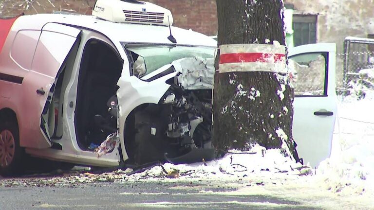 Tragiczny wypadek na Dolnym Śląsku. Mercedes wjechał prosto w drzewo - INFBusiness