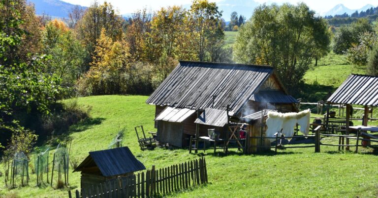 Kurs Juhas i baca. Można składać podania, kurs jest bezpłatny - INFBusiness