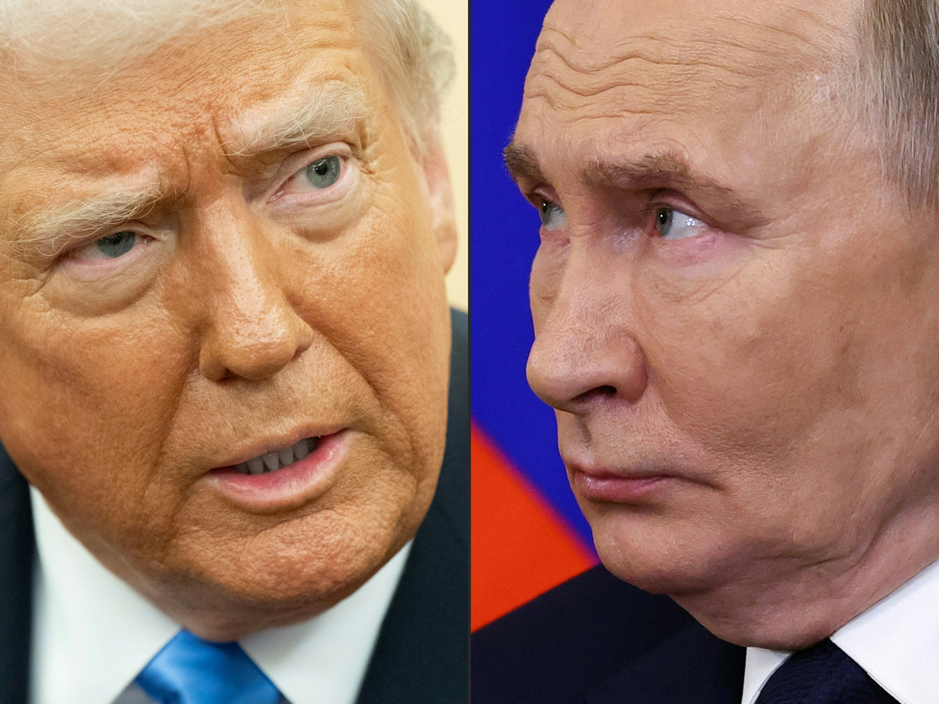 Sondaż: Wiemy, jak Polacy oceniają rozpoczęcie rozmów z Rosją przez Donalda Trumpa - INFBusiness