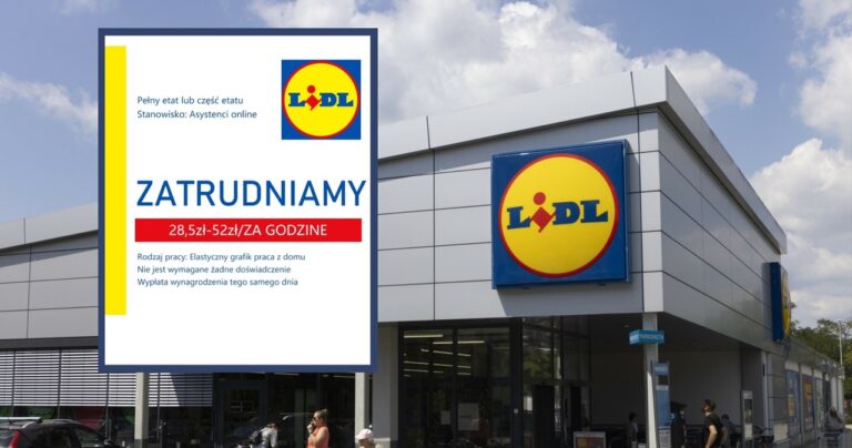 Praca zdalna jest fałszywa. Lidl ostrzega przed fałszywymi ofertami - INFBusiness