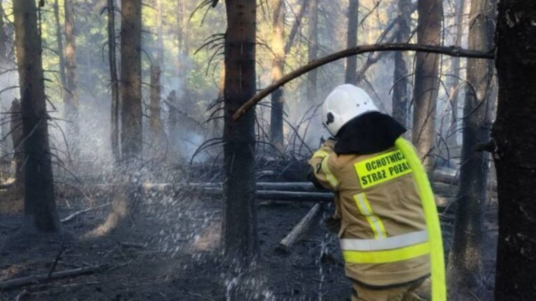 Pożar na granicy polsko-słowackiej. Służby ratunkowe działają w trudnym terenie - INFBusiness