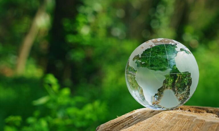 Rząd planuje odroczyć obowiązek raportowania ESG dla niektórych firm - INFBusiness