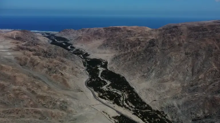 Polscy archeolodzy odkryli cmentarz ofiar brutalnej inwazji, która miała miejsce przed wiekami w Peru. - INFBusiness