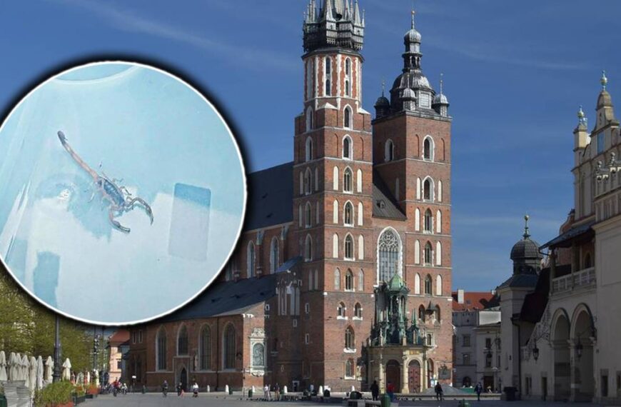 Egzotyczny intruz w kościele St. Mary. Turysta podnosi alarm