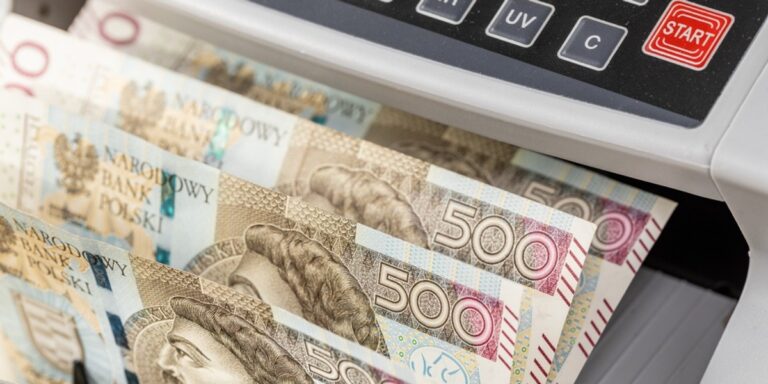 Pieniądze z podatków w skarbcu państwa. Ministerstwo Finansów podało kwoty - INFBusiness