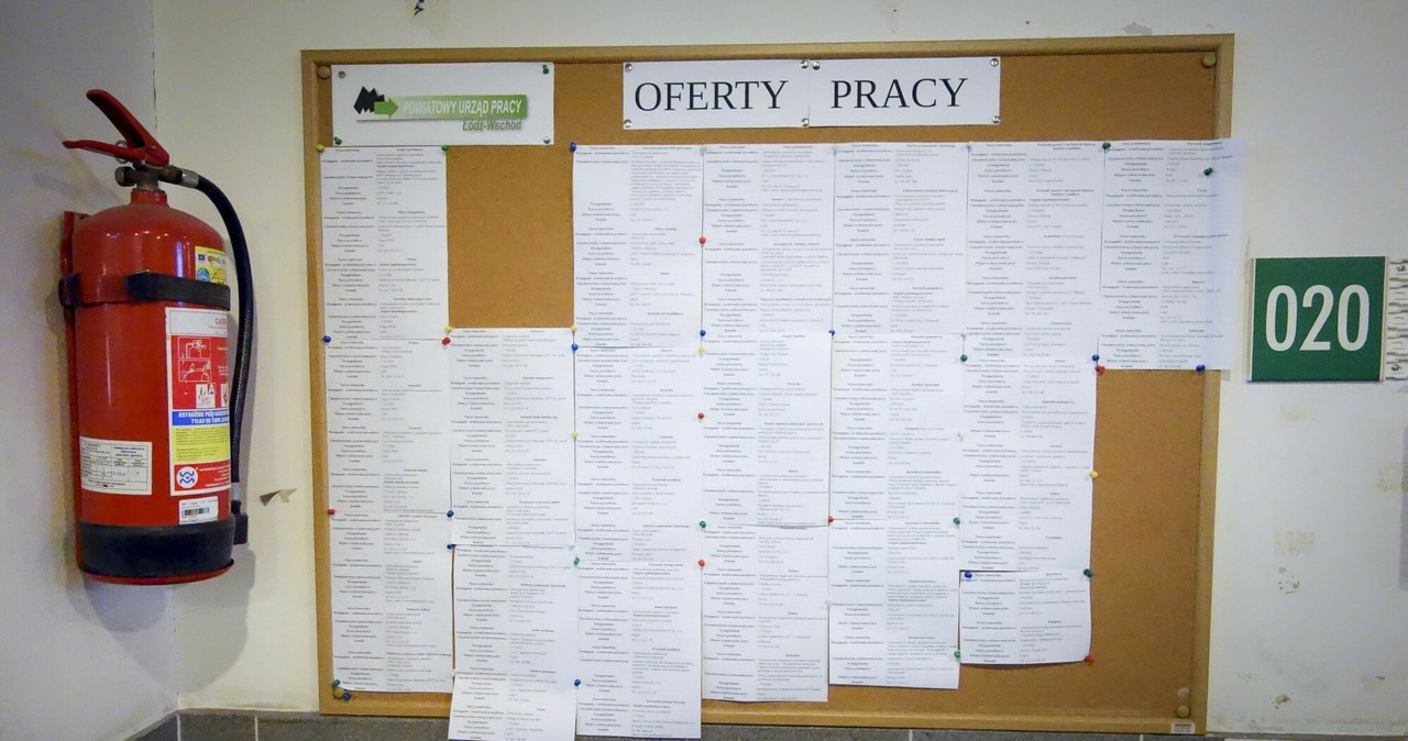 Szukają pracownika fizycznego do przeszkolenia. Płacą ponad 10 tys. zł Pracownik fizyczny z Polski może zarobić w Niemczech ponad 10 tys. zł brutto. /Piotr Kamionka/REPORTER /East News