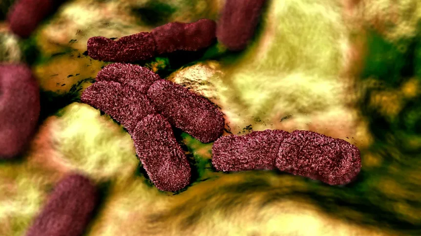 Zmiana w pojedynczym genie mogła osłabić patogen, który spowodował epidemię „Czarnej Śmierci”
