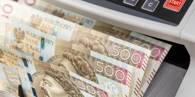 Tyle pieniędzy mają Polacy. Połowę trzymamy w gotówce. - INFBusiness