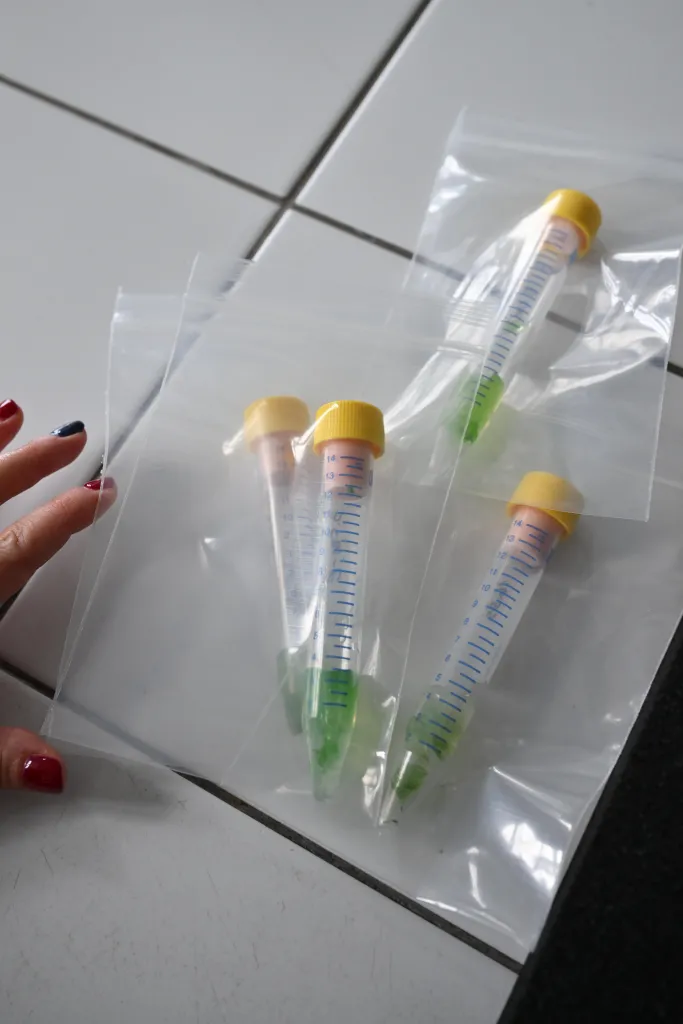 Wrocław, 23 lipca 2025 r. Spotkanie prasowe w laboratoriach Politechniki Warszawskiej, 23 lipca. Podczas wydarzenia zaprezentowano próbki poddane eksperymentom w kosmosie podczas misji Ignis z udziałem polskiego astronauty Sławosza Uznańskiego-Wiśniewskiego. (mk/amb) PAP/Maciej Kulczyński