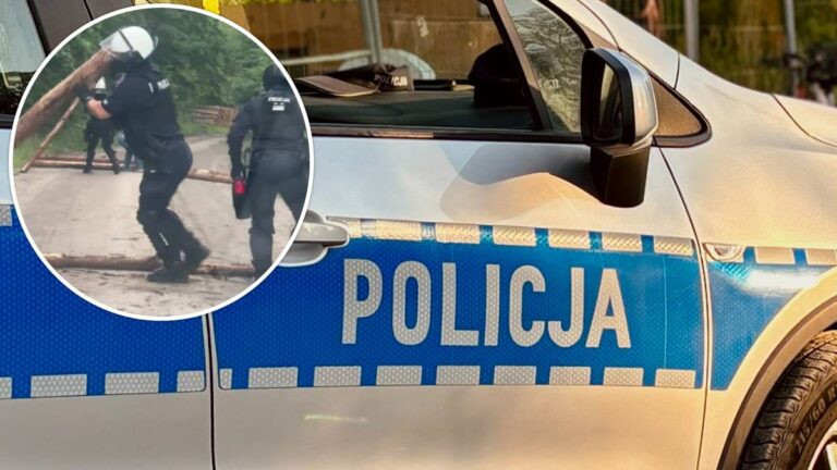 Zaplanowali zasadzkę na kibiców drużyny przeciwnej. Rozrzucili kłody przed policją. - INFBusiness