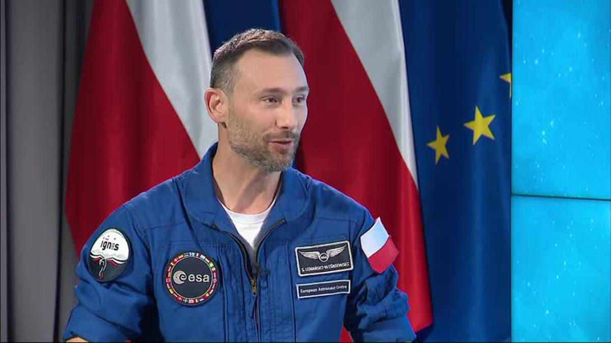 Leśnik nie mógł uwierzyć w to, co znalazł w lesie. „Wciąż można znaleźć geniuszy”. - INFBusiness