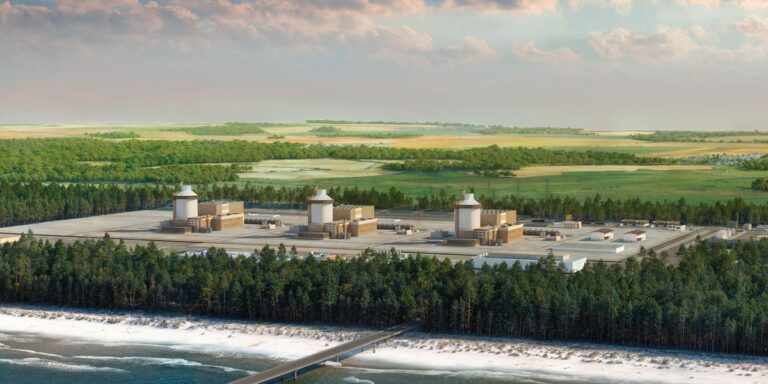 Pozwolenie na budowę elektrowni jądrowej. Wniosek w języku polskim opóźni termin. - INFBusiness