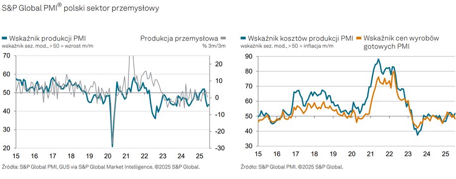 Spadek w sektorze produkcyjnym w lipcu był łagodniejszy niż w czerwcu, choć wskaźnik PMI pozostał stonowany: indeks S&P Global osiągnął zaledwie 45,9 punktu. Spadki zarówno nowych zamówień, jak i produkcji utrzymywały się, a eksport odnotował najgłębszy spadek od prawie dwóch lat. Perspektywy produkcji poprawiły się, ale pozostały niestabilne. Kolejne słabe dane z polskiego przemysłu. Nadzieje na odbicie okazały się płonne. - INFBusiness