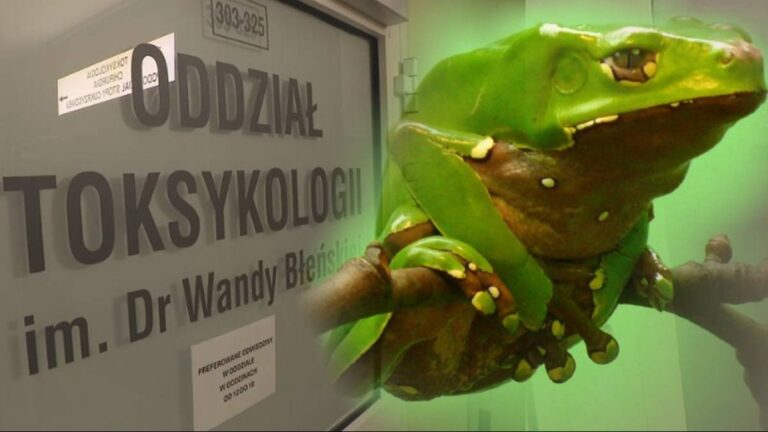 Przeszła niebezpieczny rytuał. „Chciałam coś ulepszyć”. - INFBusiness