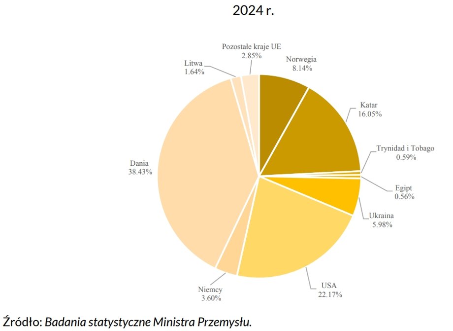 Import paliw gazowych do Polski w 2024 roku. Wykres pochodzi z omawianego raportu