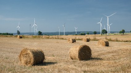 Fakty i mity o turbinach wiatrowych. Co warto wiedzieć o energetyce wiatrowej w Polsce i za granicą.