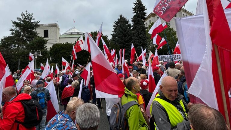 Demonstracje poparcia dla Karola Nawrockiego. Tłumy przed Sejmem - INFBusiness