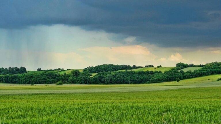 Żółte alerty pogodowe. Jeden region jest szczególnie zagrożony. - INFBusiness