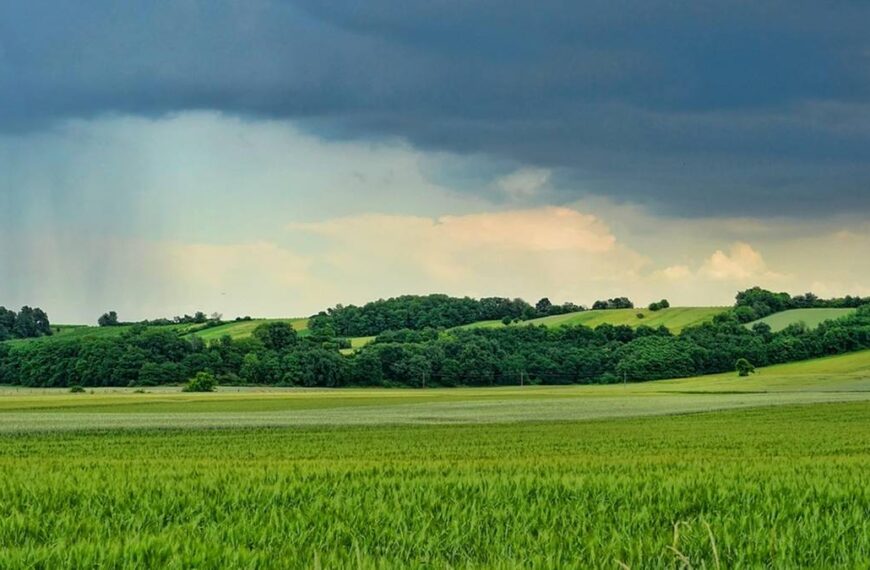 Żółte alerty pogodowe. Jeden region jest szczególnie zagrożony.