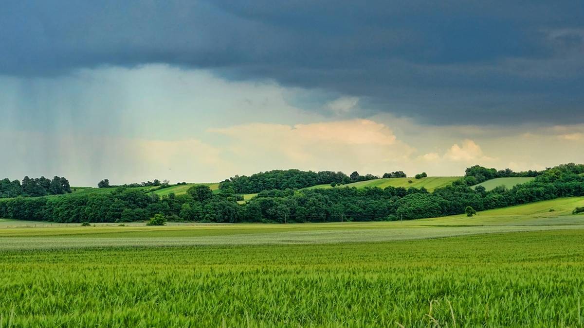 Tydzień rozpocznie się od znacznych opadów deszczu Obowiązują żółte alerty pogodowe. W niektórych strefach występuje zwiększone zagrożenie.