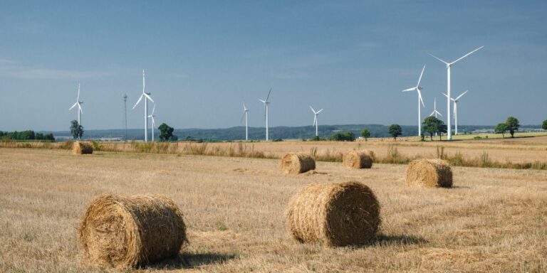 Wiatraki lądowe: fakty i mity. Co warto wiedzieć o energetyce wiatrowej - INFBusiness
