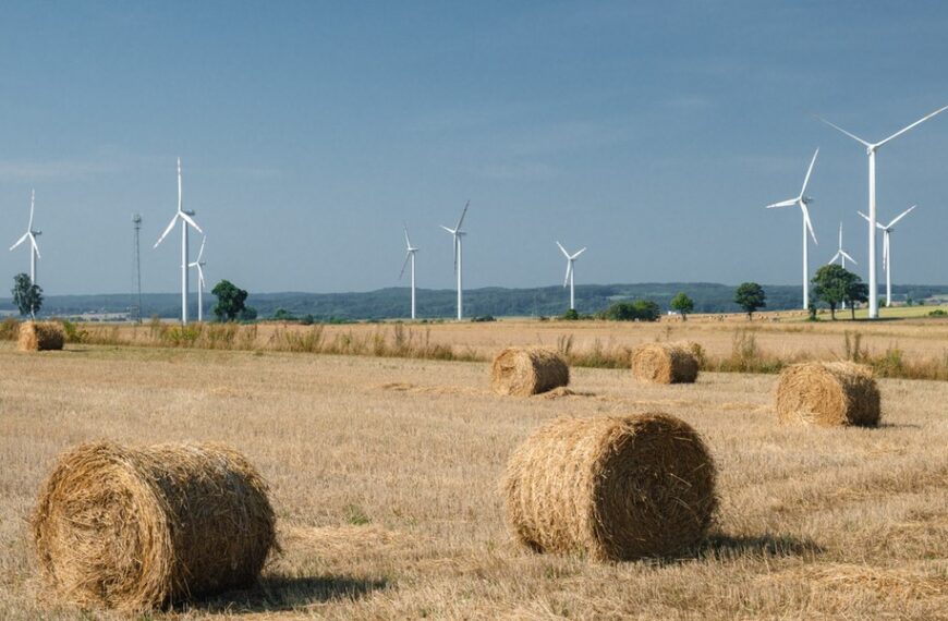 Wiatraki lądowe: fakty i mity. Co warto wiedzieć o energetyce wiatrowej
